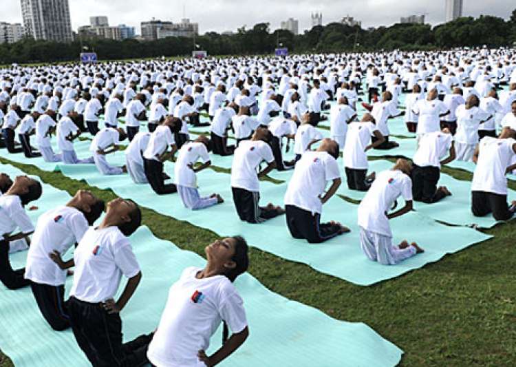 Mega Yoga Event In Faridabad Claims World Record