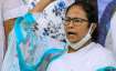 mamata banerjee, bengal covid19 cases 