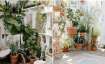 Vastu Tips: Pots in your garden should be kept in THIS direction