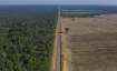 National Institute for Space Research, Record levels, deforestation, Brazilian, Amazon continue, Bra