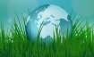 Happy World Environment Day 2021!