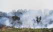 WILDFIRES