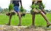 PM Kisan Nidhi Scheme: PM Modi to release 9th installment