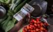 WPI inflation, WPI inflation price, market news, market today,  inflation, wpi inflation, wpi based 