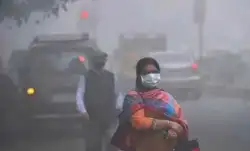 Food that helps build resistance against air pollution