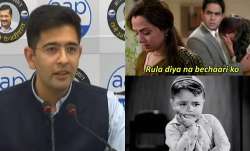 Twitter user says 'I want Raghav Chadha, not electricity', AAP leader’s response goes viral